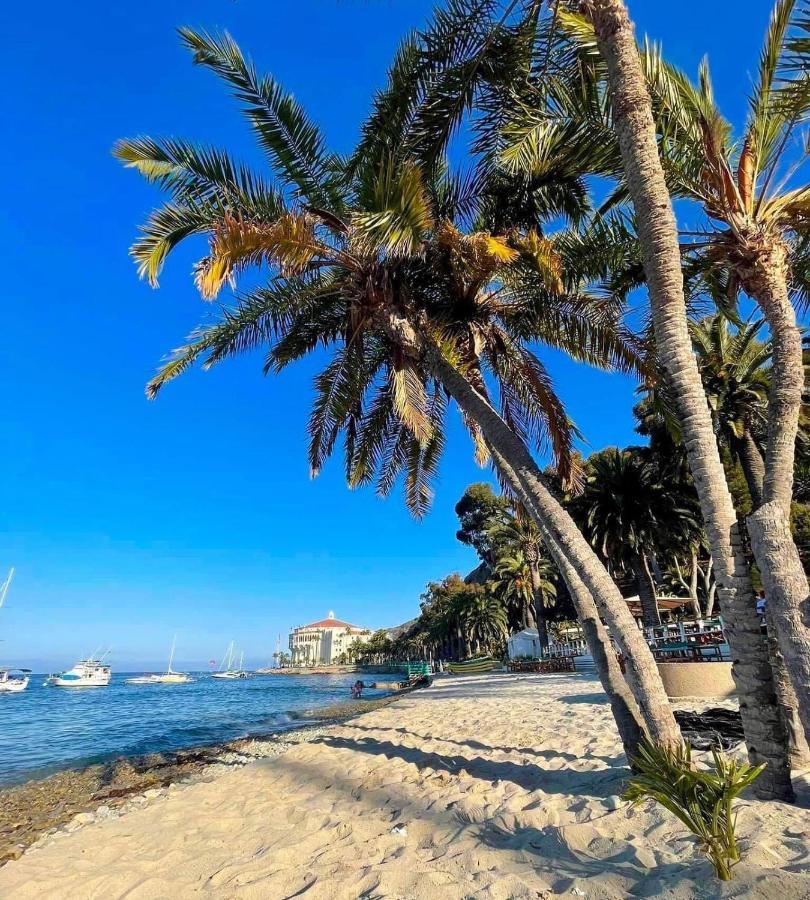 Gorgeous Oceanfront Villa With Panoramic Views Avalon Extérieur photo