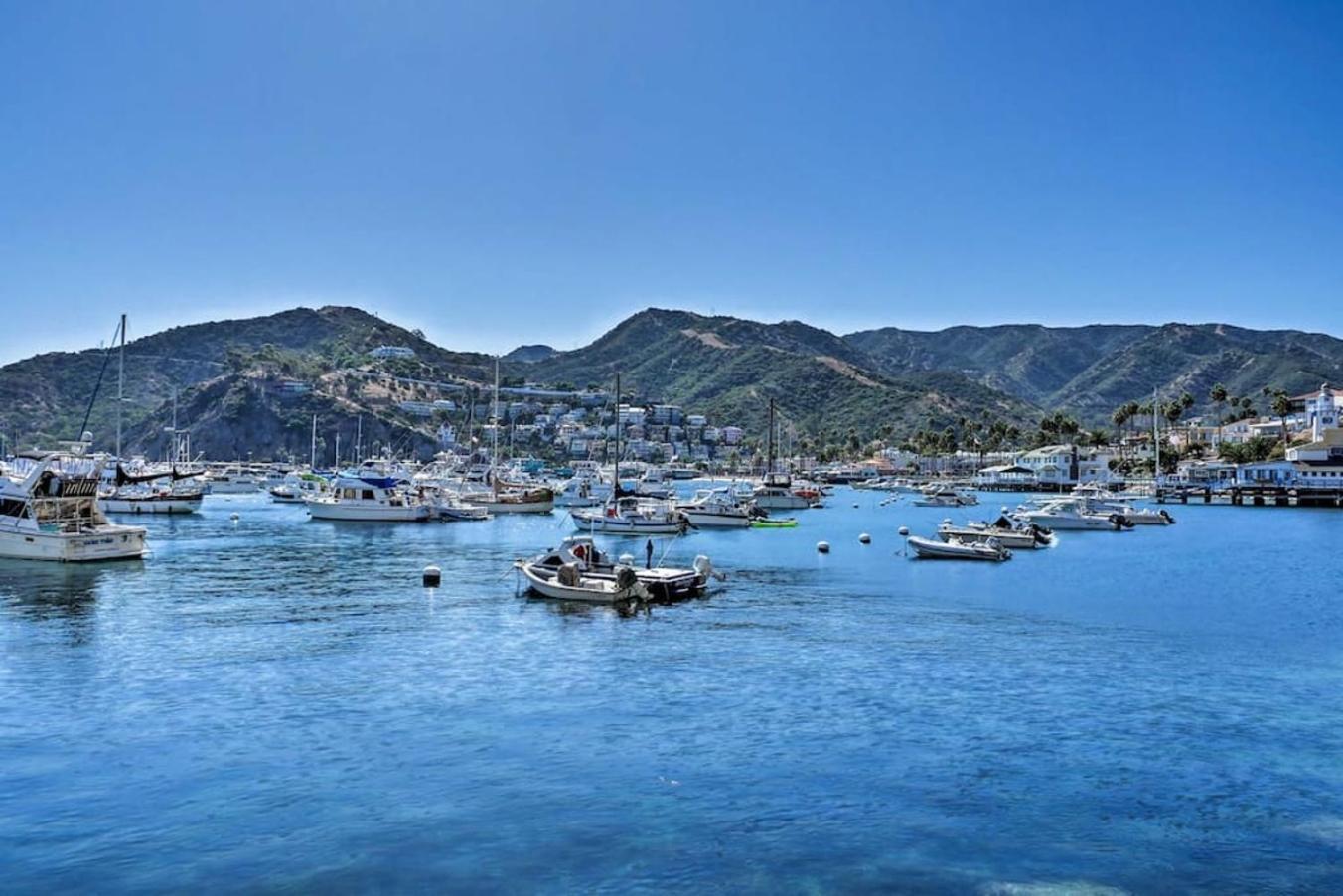 Gorgeous Oceanfront Villa With Panoramic Views Avalon Extérieur photo